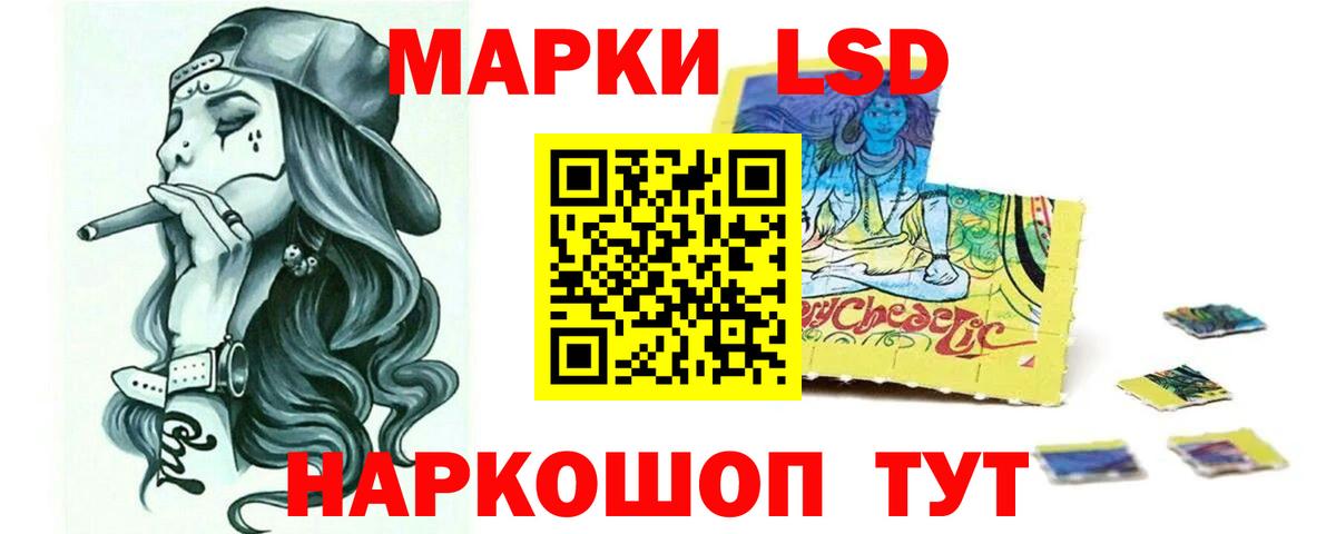 Курчалой  Лсд 25 экстази кислота  ЛСД экстази  Лсд 25 экстази кислота  Вход с VPN 