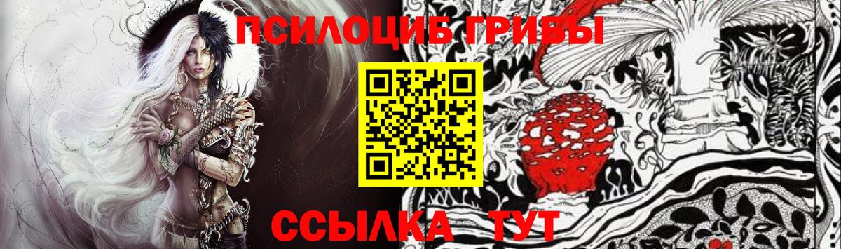 Псилоцибиновые грибы Psilocybe  Вход с VPN  Галлюциногенные грибы GOLDEN TEACHER  Курчалой 